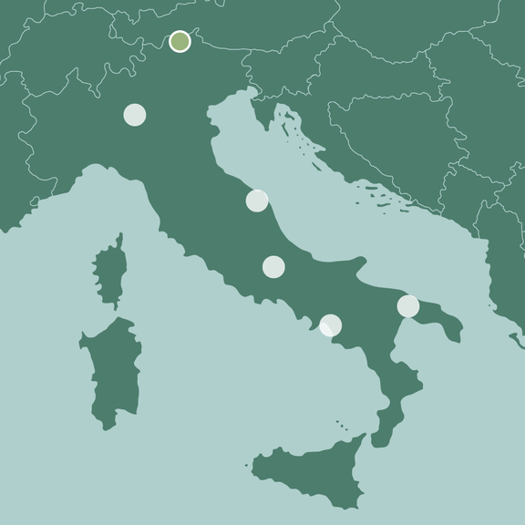 Le nostre insalate provenienti dall’Italia