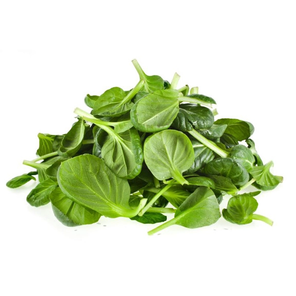 Baby spinach (8-12 cm) | Babyleaf