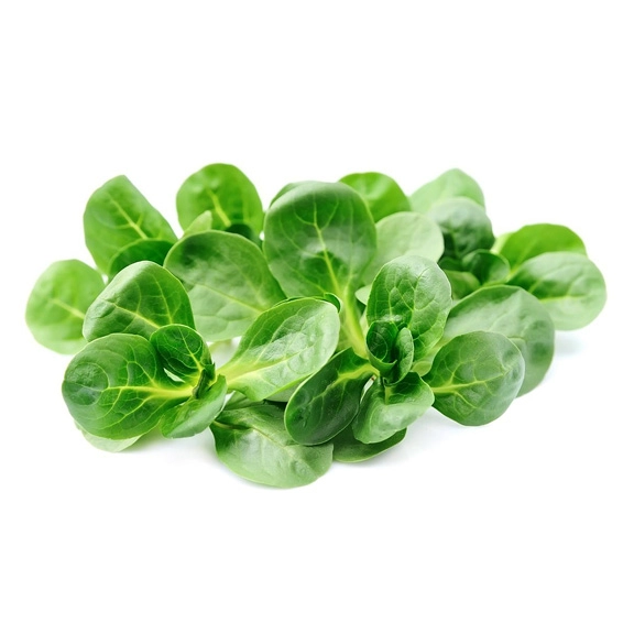 Feldsalat | Babyleaf